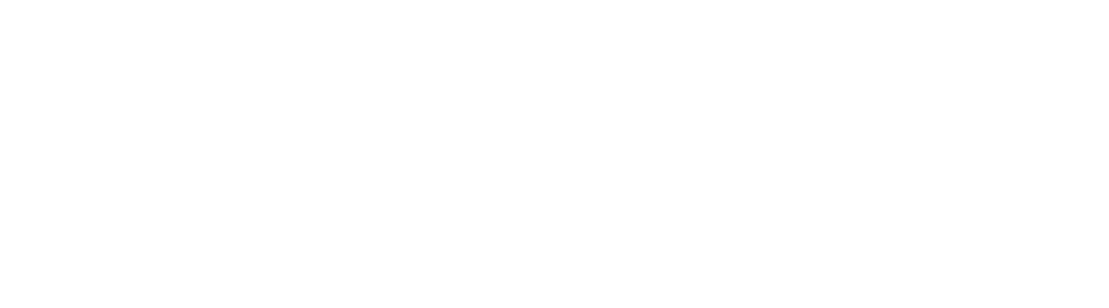 INSURITY